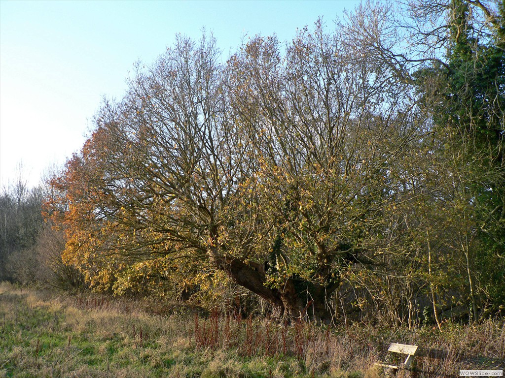 P1450709