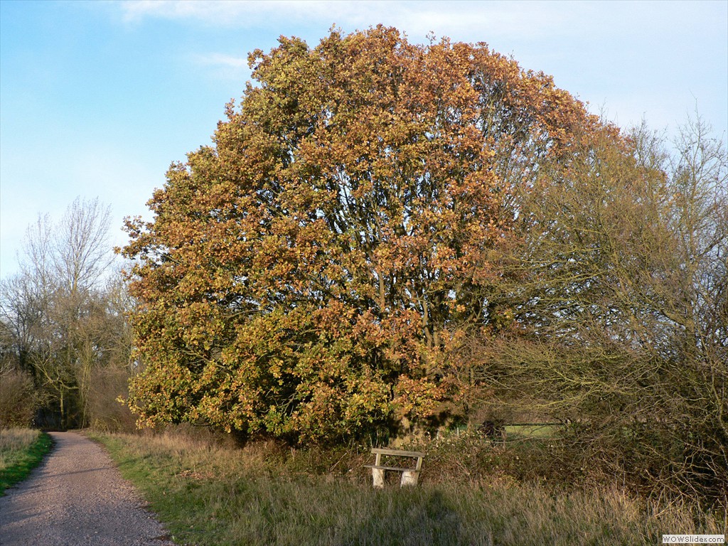 P1450710