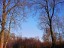 IMAGE_562