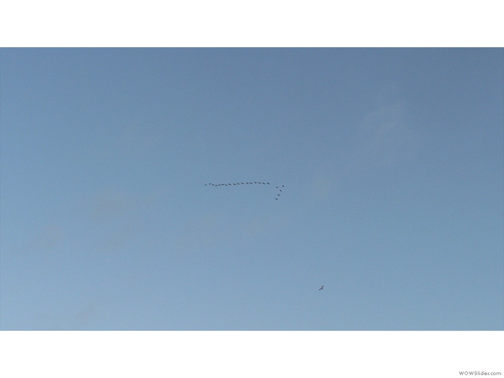 P1520893