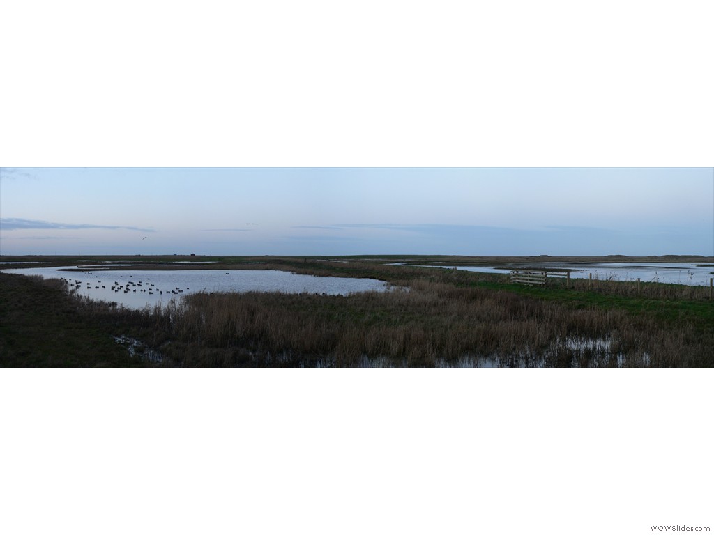 P1520905-8