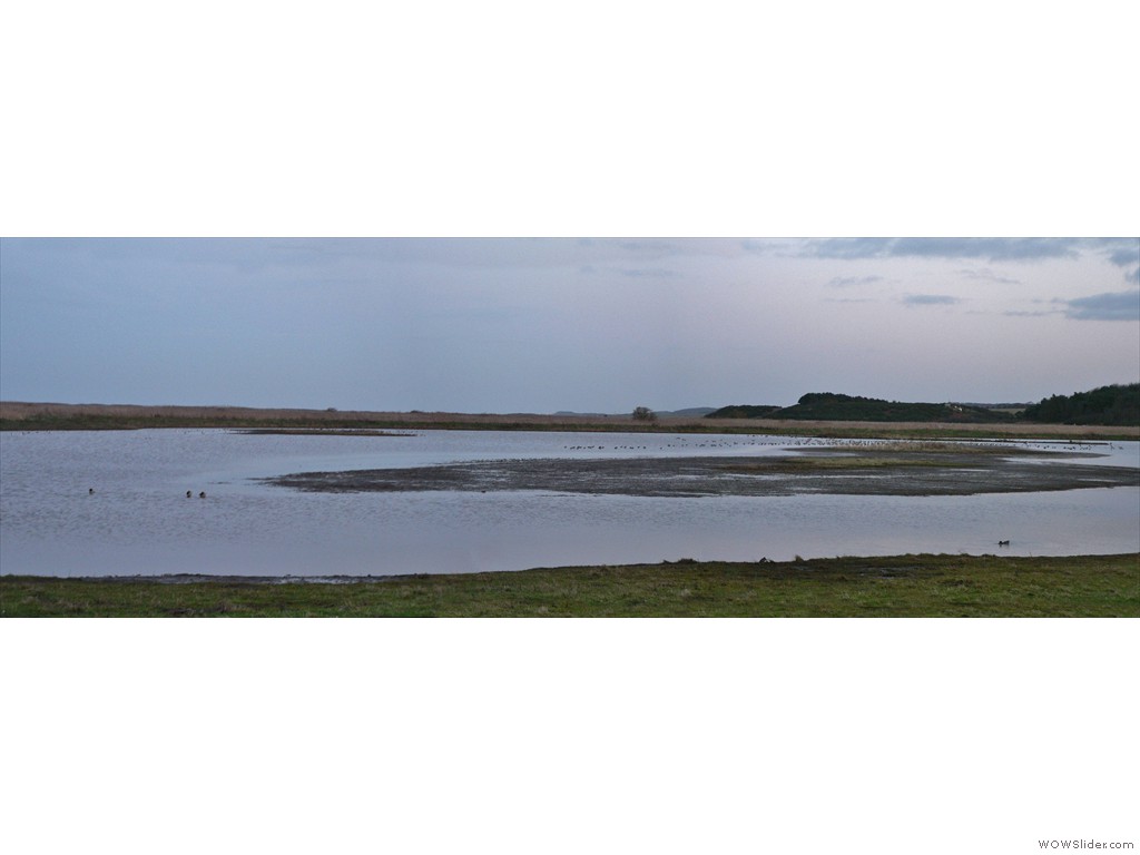 P1520914-6