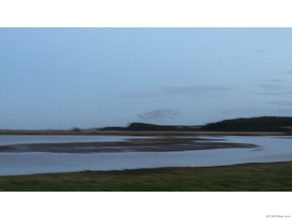 P1520930