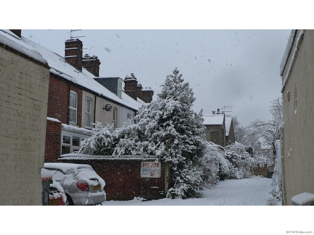 P1530215