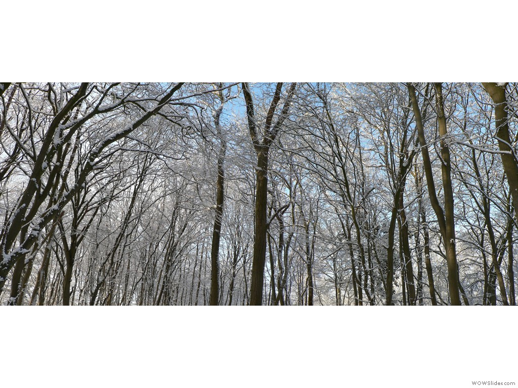 P1530314-5