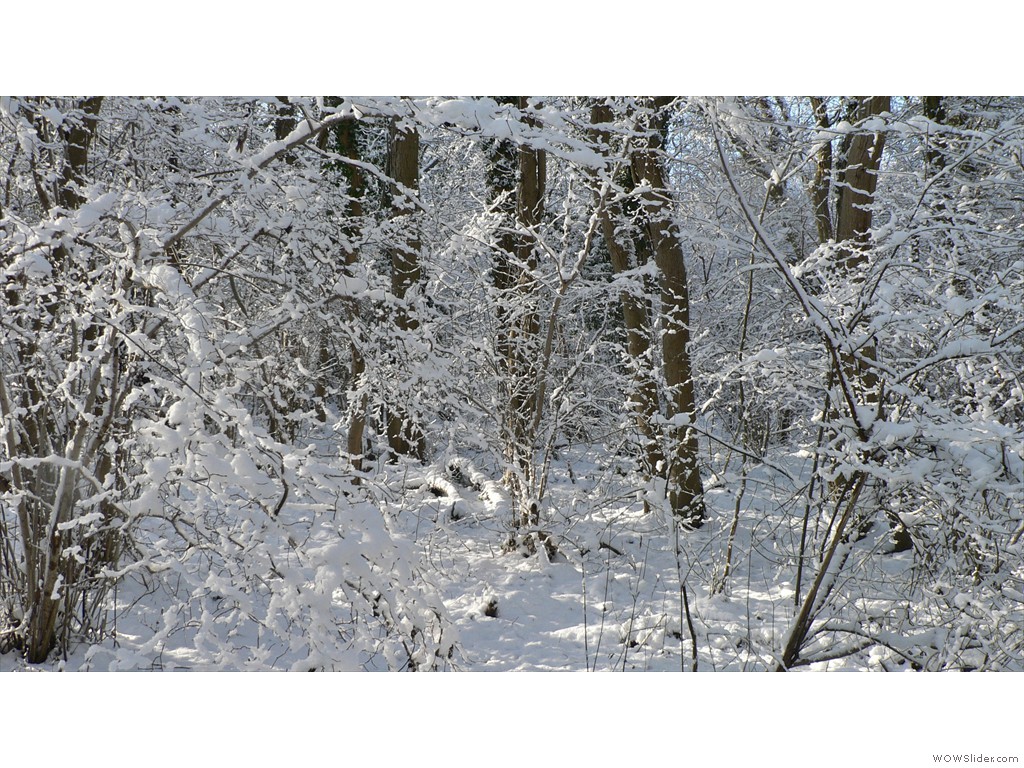 P1530363