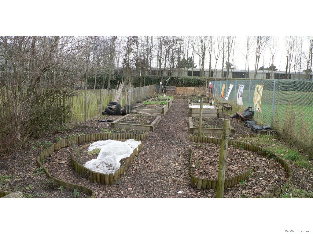 P1530793