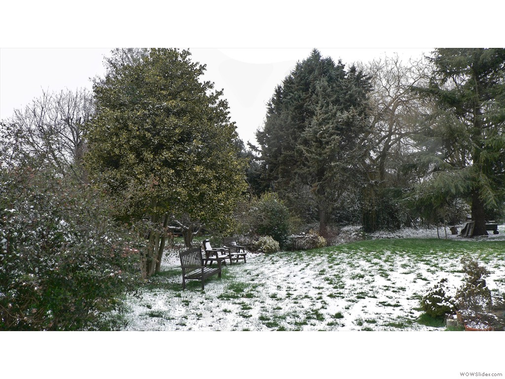 P1540020-1