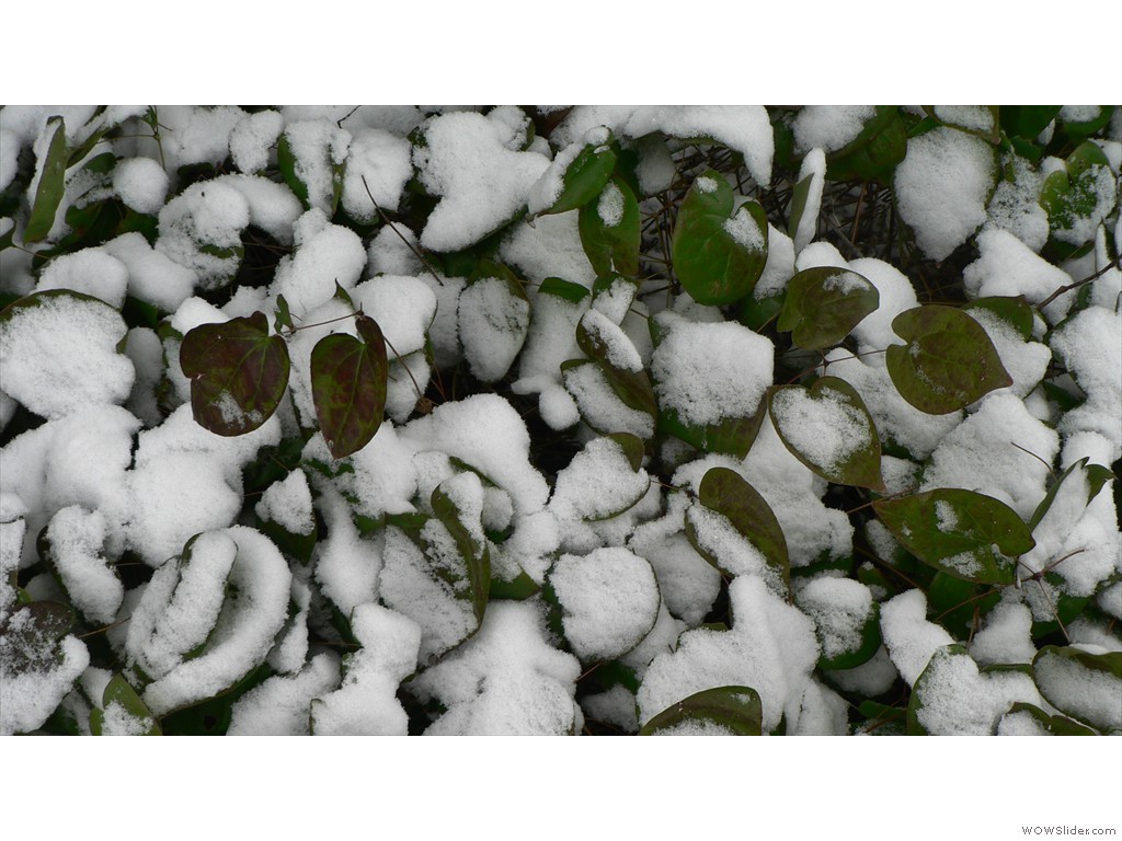 P1540033