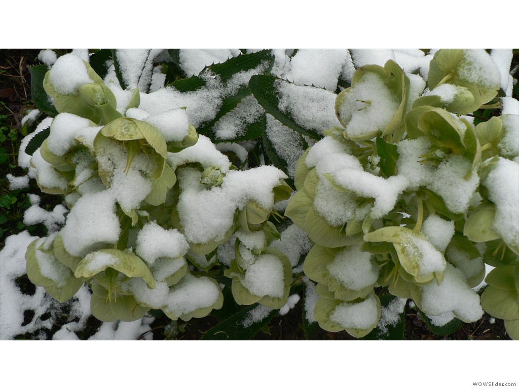P1540049