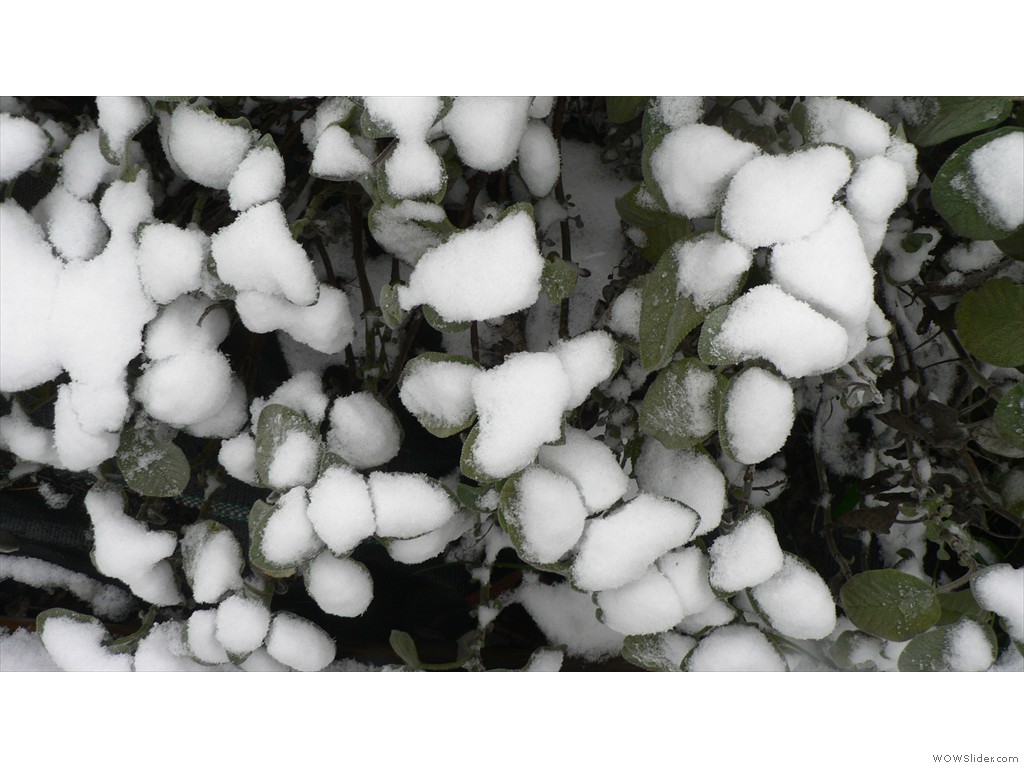 P1540055