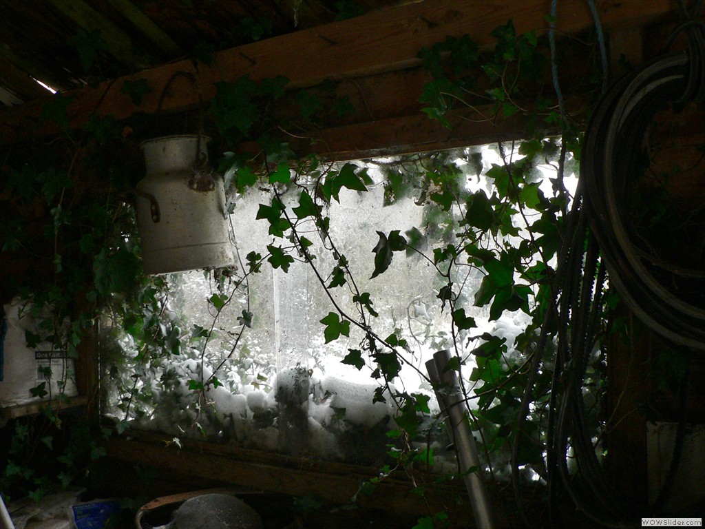 P1540059