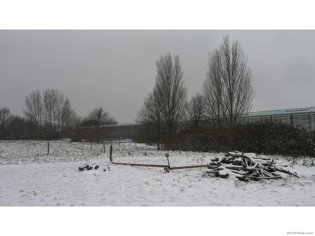 P1540067-8