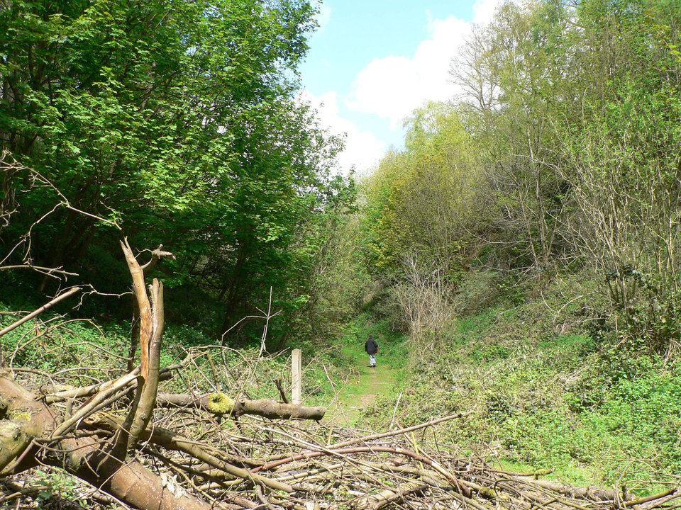 select left of pic for previous, right for next, top for index