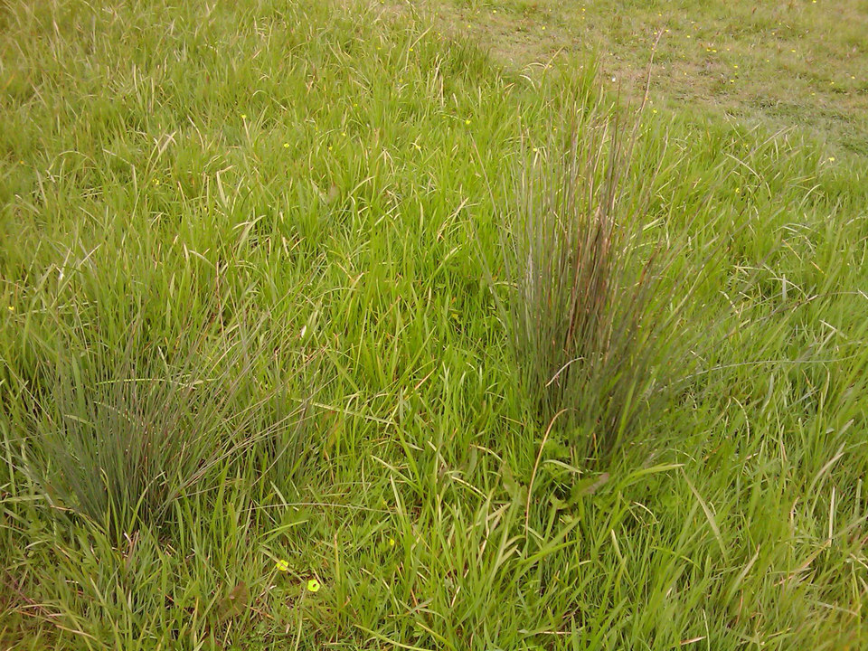 select left of pic for previous, right for next, top for index