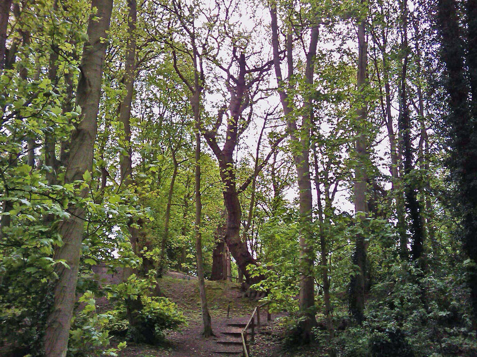 select left of pic for previous, right for next, top for index