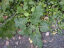 IMAG0157