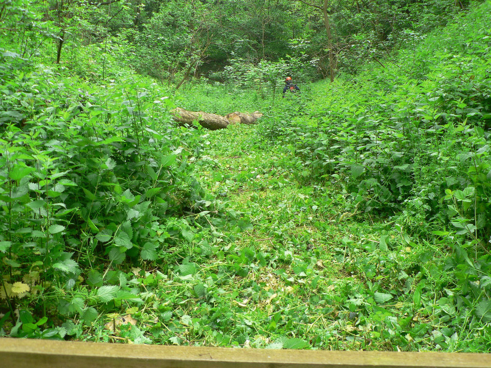 select left of pic for previous, right for next, top for index