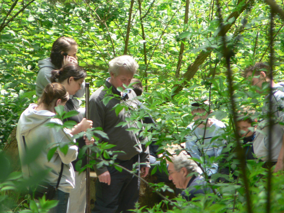 select left of pic for previous, right for next, top for index