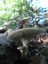 P1100127