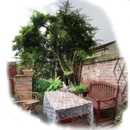 4_Kingsley_Garden