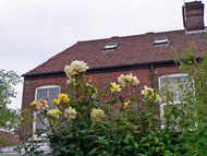4_Kingsley_rear