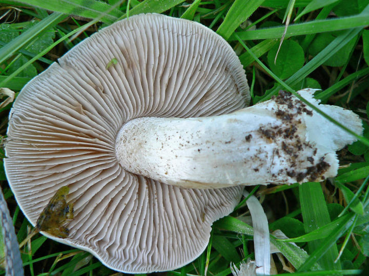 P1190170