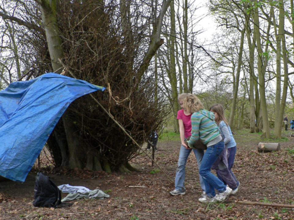 select left of pic for previous, right for next, top for index