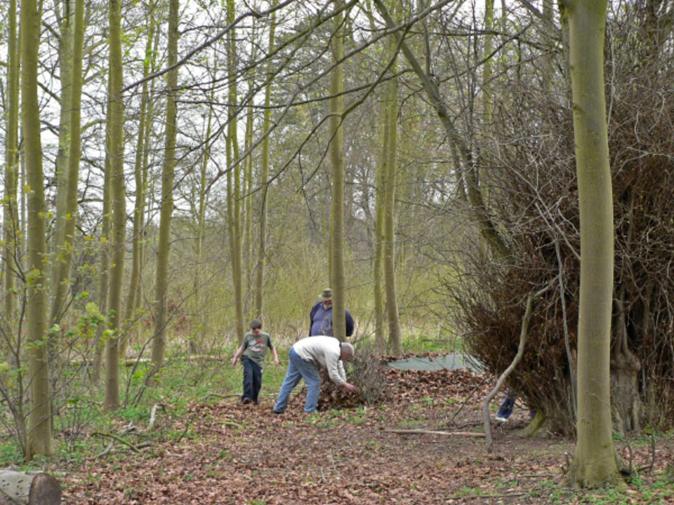 select left of pic for previous, right for next, top for index