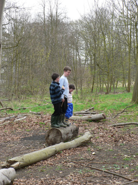 select left of pic for previous, right for next, top for index