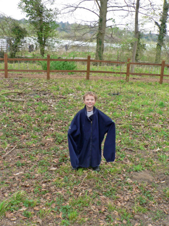 select left of pic for previous, right for next, top for index