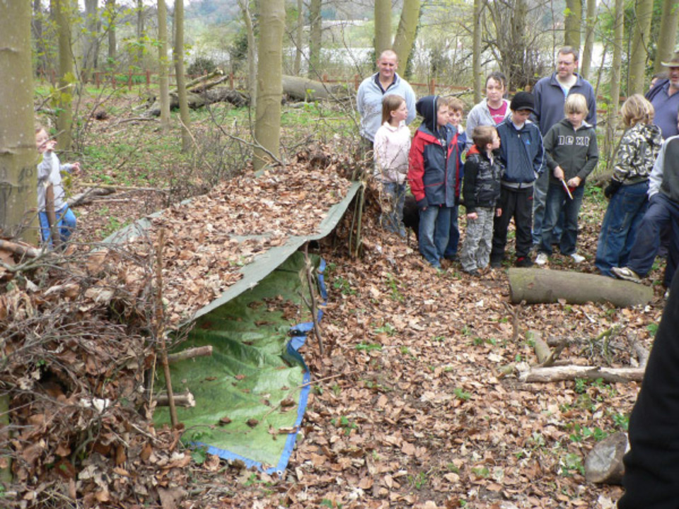 select left of pic for previous, right for next, top for index