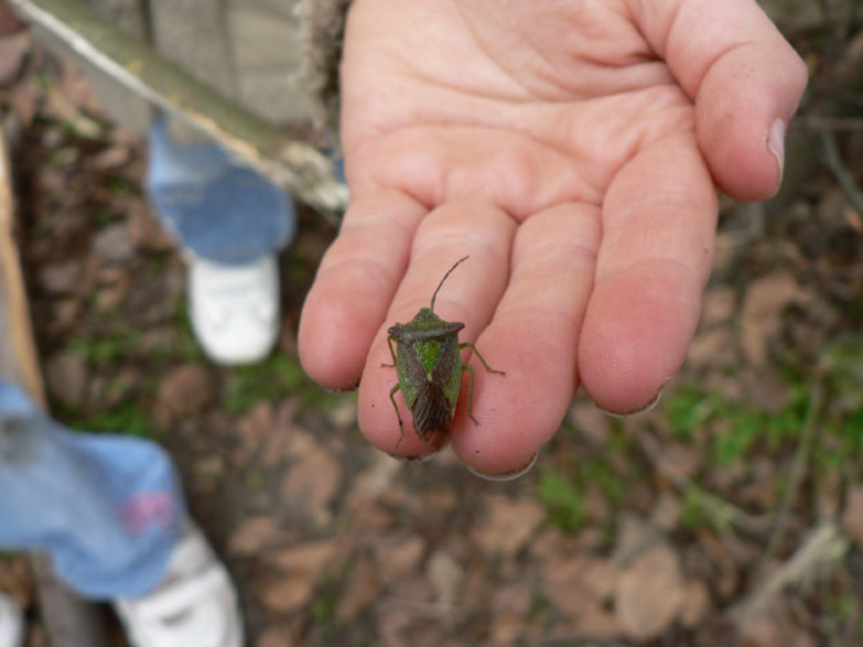 select left of pic for previous, right for next, top for index