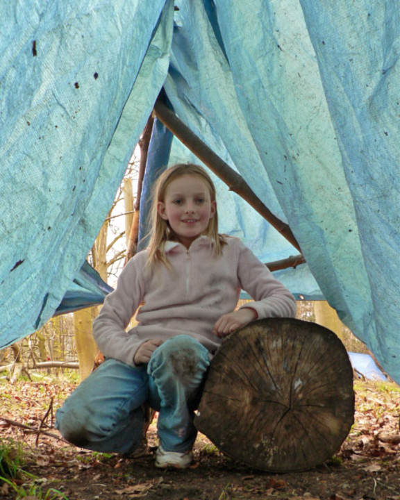 select left of pic for previous, right for next, top for index