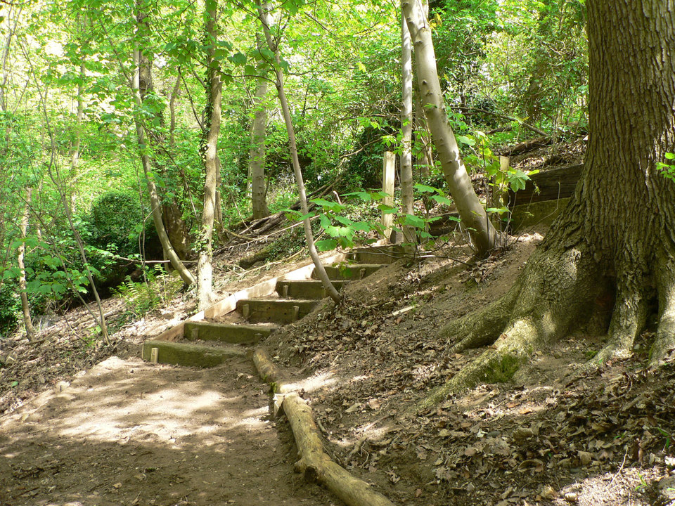 select left of pic for previous, right for next, top for index