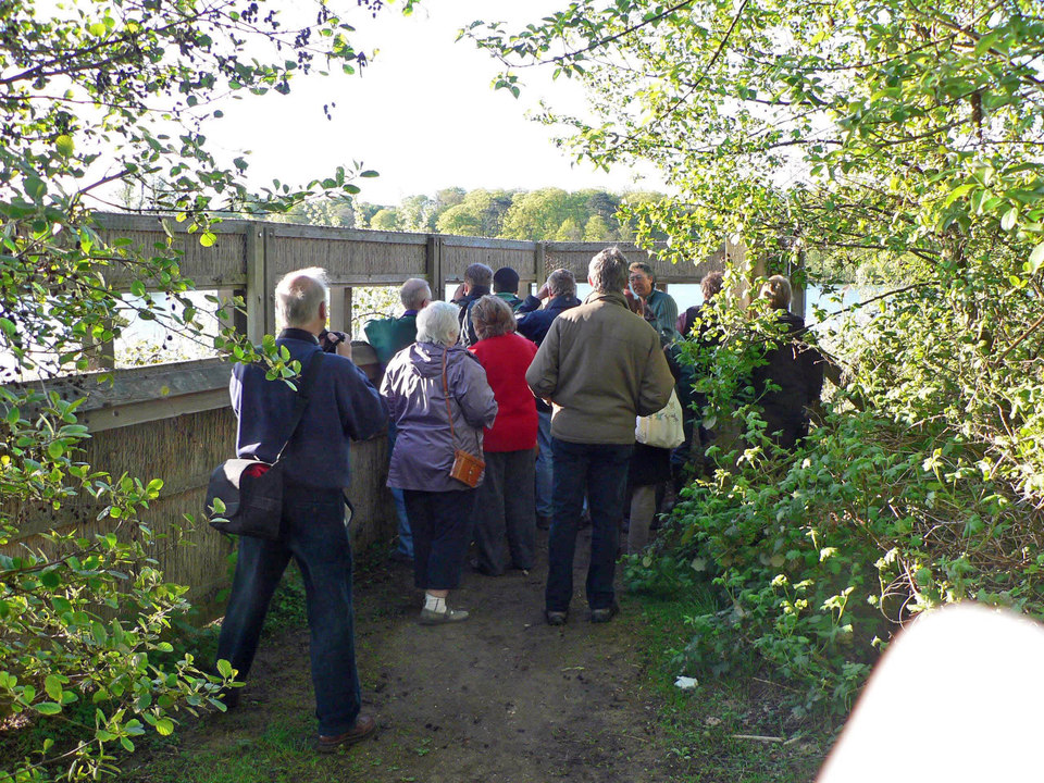 select left of pic for previous, right for next, top for index