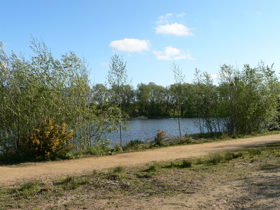 select left of pic for previous, right for next, top for index