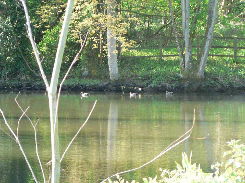 select left of pic for previous, right for next, top for index