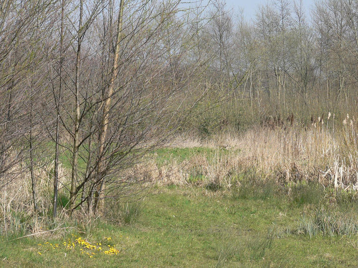P1040737