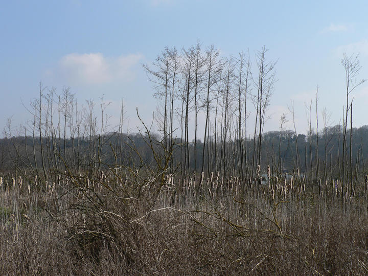 P1040762