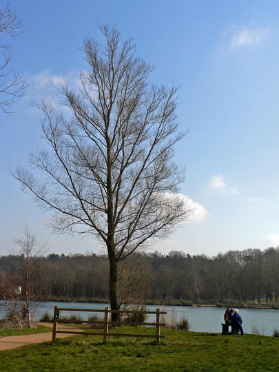 P1040776