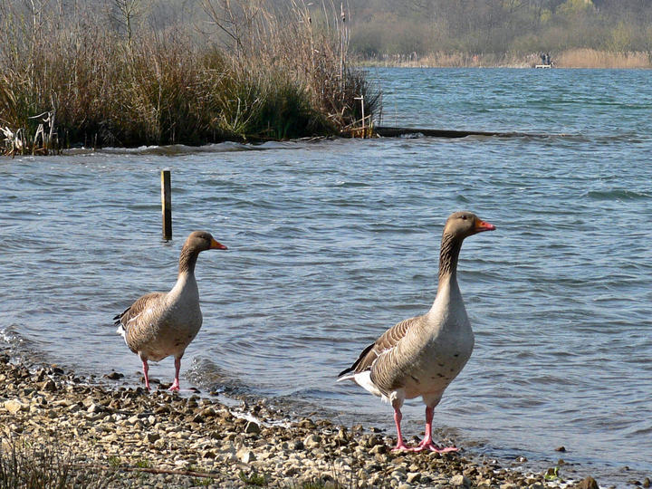 P1040800