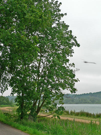 P1060234