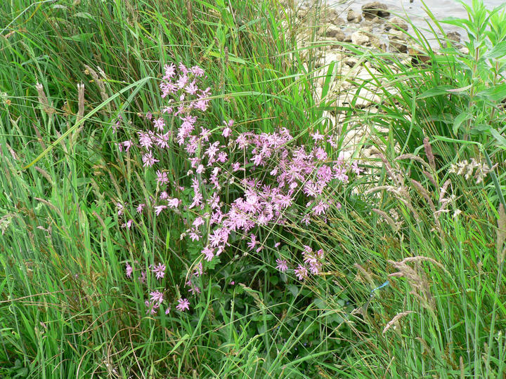 P1060240