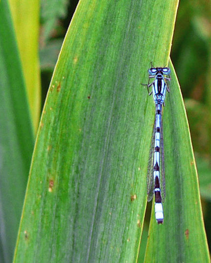 P1060243