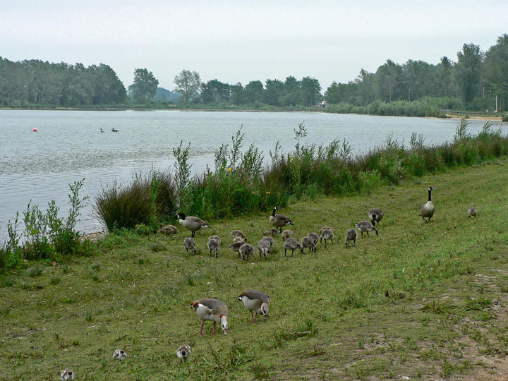 P1060274