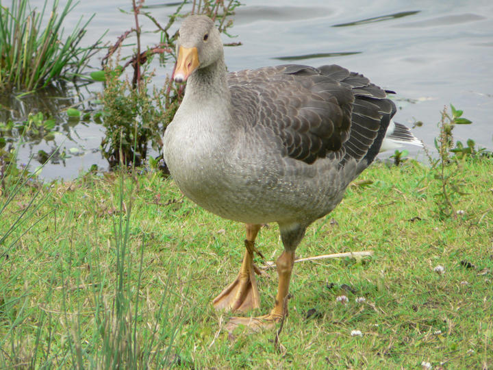 P1070047