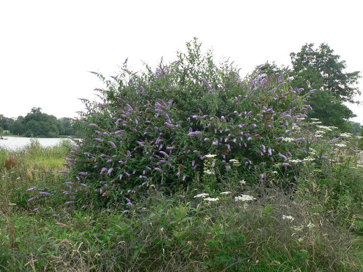 P1070118