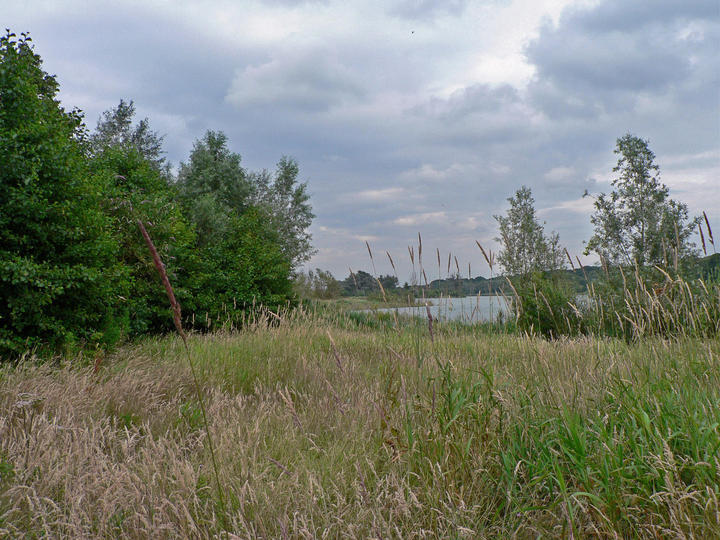 P1070119