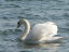 P1040736